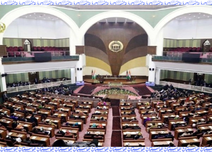 جدال تاجران تیل با شرکت سنجش کیفیت؛ دو طرف همدیگر را متهم به فساد میکنند