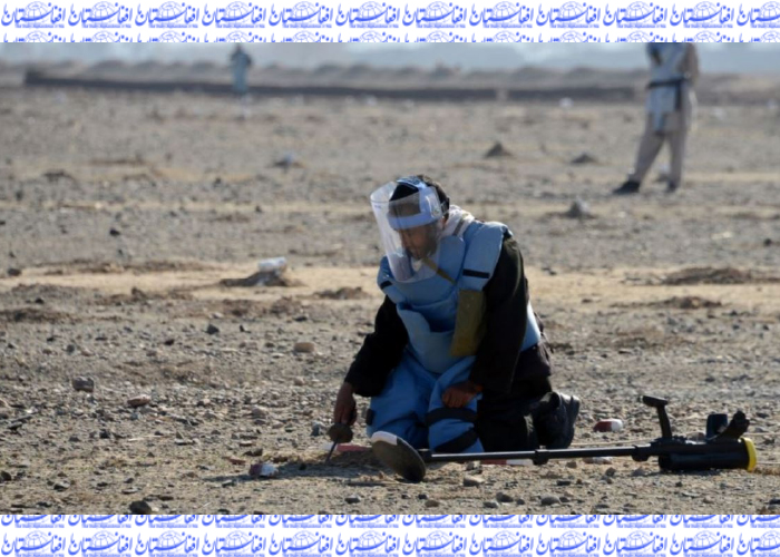سفارت آمریکا در کابل خواستار تحقیقات فوری در مورد کشتار  ماین پاک ها در ولایت بغلان شد 