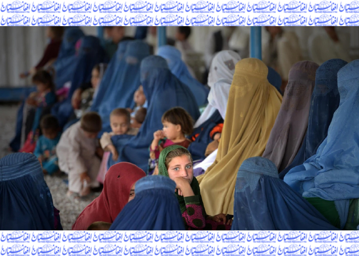 وزارت امور مهاجرین: برای ۷۵ هزار مهاجر در پاکستان کمک صورت گرفت 