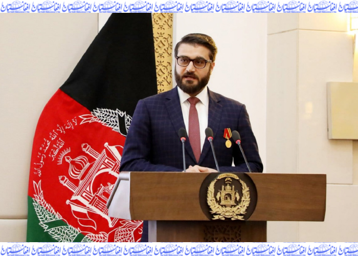 محب: کسی‌که به نیروهای امنیتی اهانت کند،  باغی است