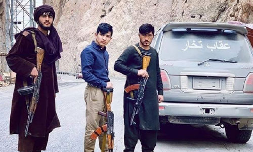 پسر حبیبه دانش «عقاب تخار» بازداشت شد