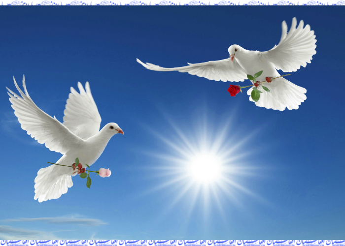 تحقق صلح و راهکارهای واقعی آن