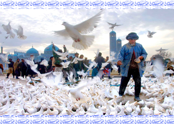 صلح و جمهوریت در افغانستان،عامل‌ثبات منطقوی