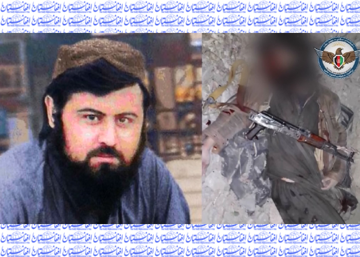 یک عضو برجسته القاعده و یک فرمانده طالبان در پکتیکا کشته شدند 