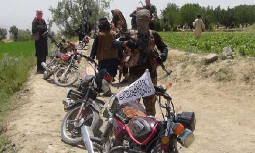 افزایش ۵۰ درصدی خشونت در کشور؛  پنتاگون درباره تضعیف توافق امریکا و طالبان هشدار داد