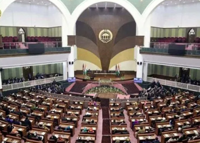ولسی جرگه: ادامه کار نامزدان رد شده خلاف قانون است