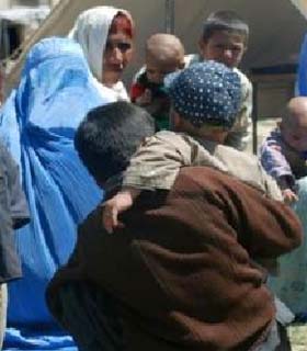 بیشترین پناهجویان جهان شهروندان  افغانستان هستند