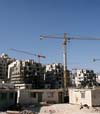 ابراز یاس غرب از ادامه شهرک سازی در بیت المقدس