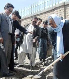 غرس صدها اصله نهال در محوطه پوهنتون جدید بامیان