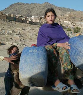 افغانستان خواستار کمک خارجی برای مقابله با خشکسالی شد