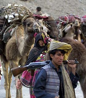 ضرورت جلوگیری از تکرار  درگیری های کوچی ها با ده نشینان